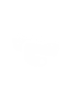 Custom AI Integrations