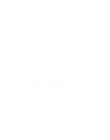 Personalized AI Marketing